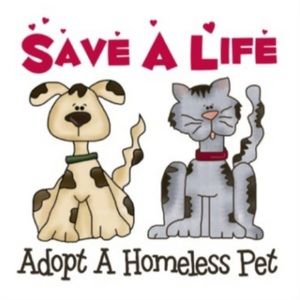 ADOPT, don’t shop!